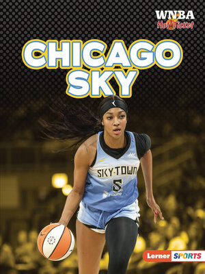 cover image of Chicago Sky